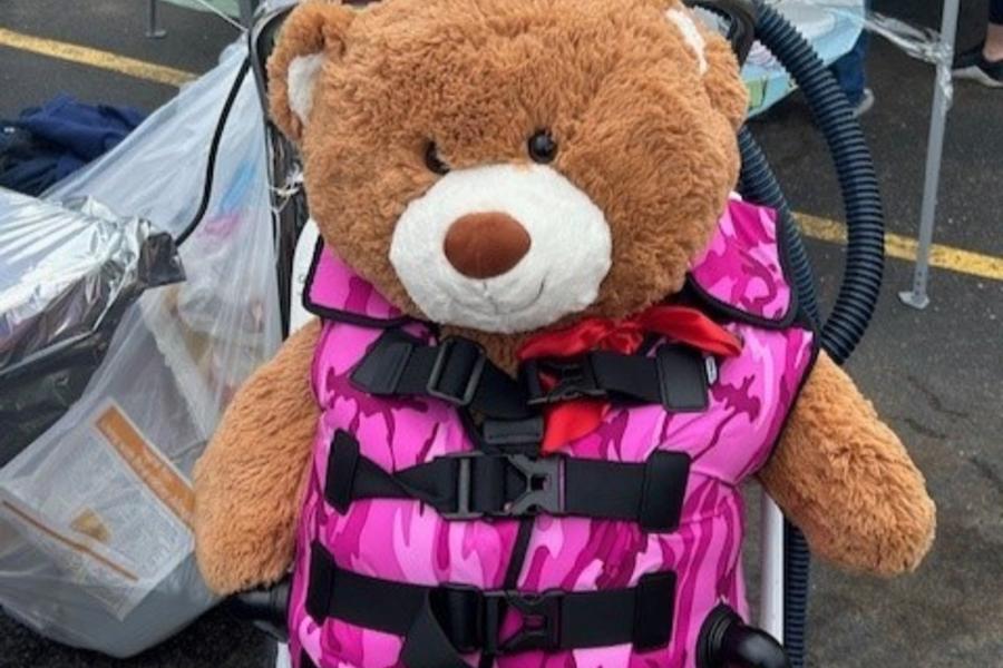 Teddy Bear Fair photo