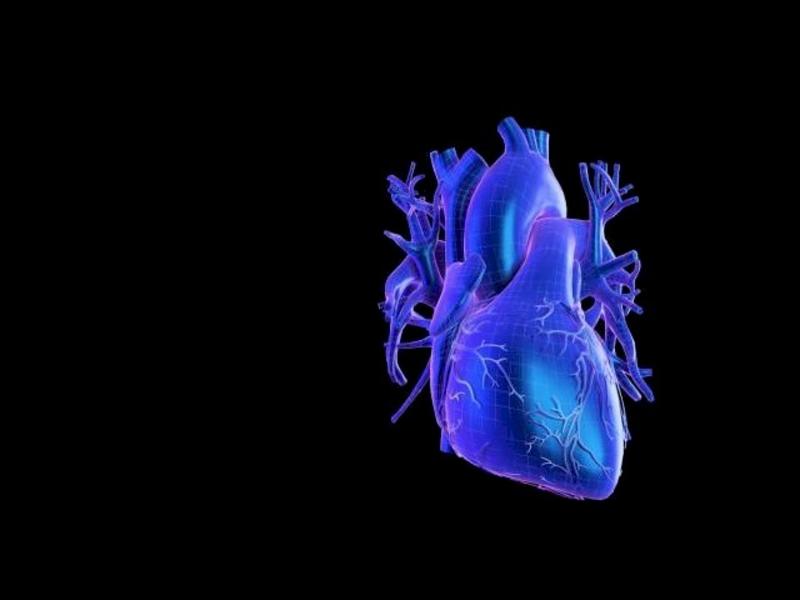 Vascular Surgery Hero Image