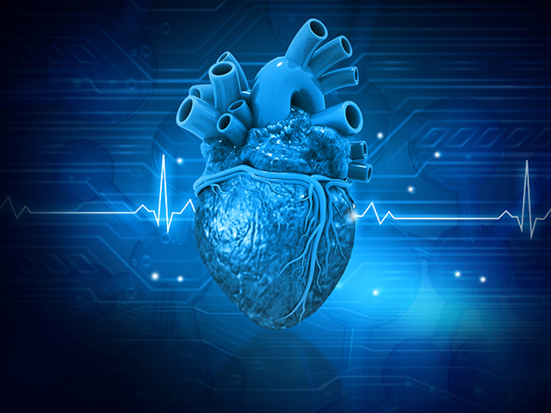 Heart & Vascular Banner