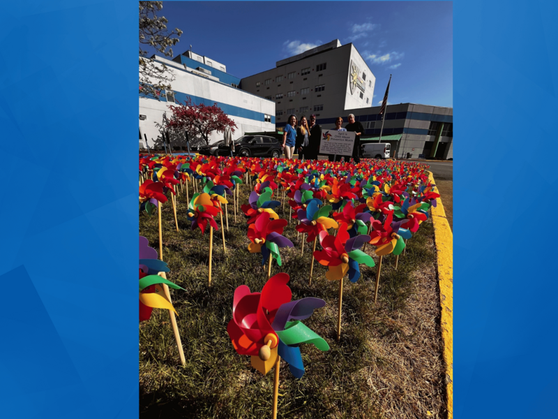 Pinwheels at WCH